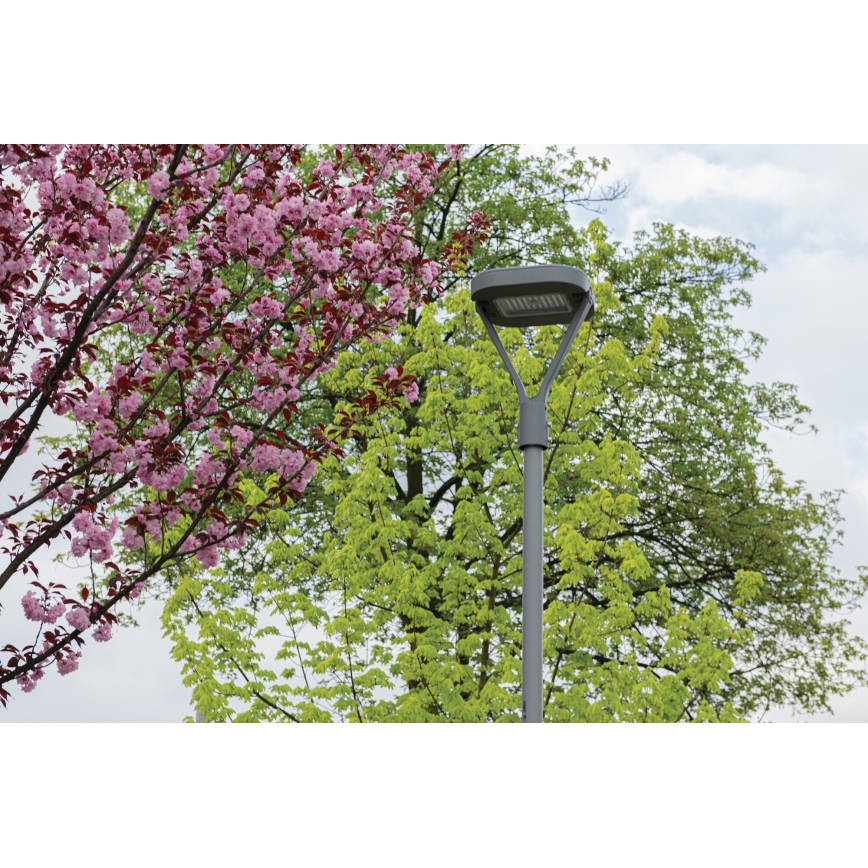 LED Pouličná lampa PARCOLI LED/30/40/50W/230V 3000/4000/6500K IP66 šedá