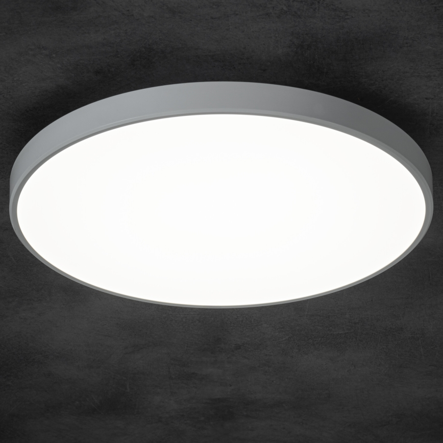 LED Stmievateľné stropné svietidlo PLAFON LED/20W/230V 3000-6500K Wi-Fi biela