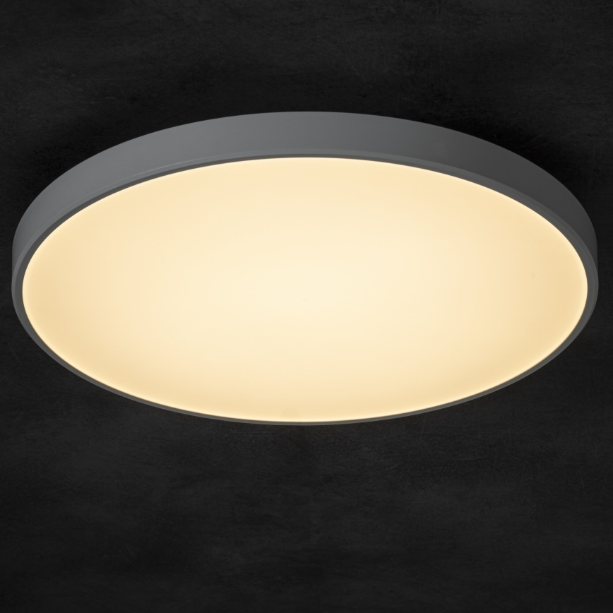 LED Stmievateľné stropné svietidlo PLAFON LED/20W/230V 3000-6500K Wi-Fi biela
