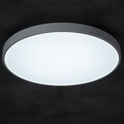 LED Stmievateľné stropné svietidlo PLAFON LED/20W/230V 3000-6500K Wi-Fi biela