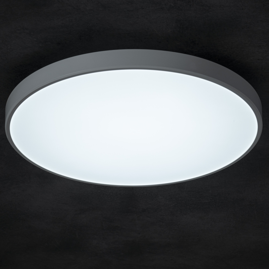 LED Stmievateľné stropné svietidlo PLAFON LED/20W/230V 3000-6500K Wi-Fi biela