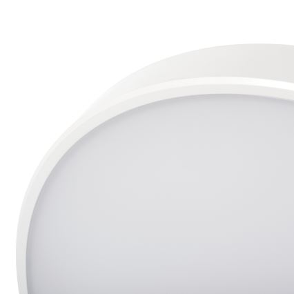 LED Stmievateľné stropné svietidlo PLAFON LED/20W/230V 3000-6500K Wi-Fi biela