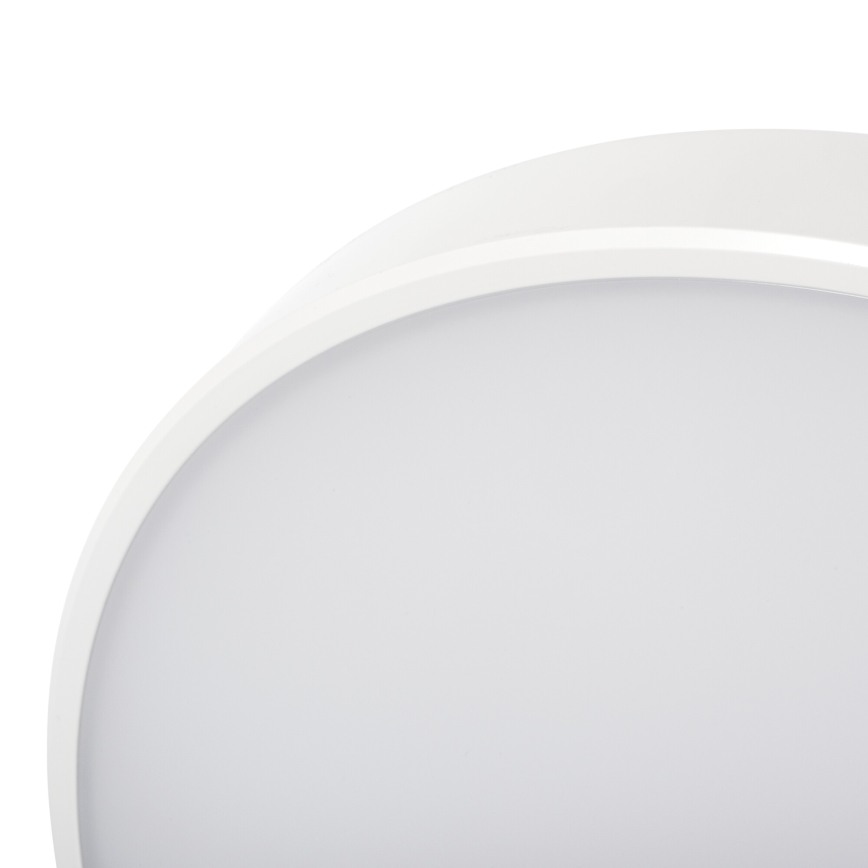 LED Stmievateľné stropné svietidlo PLAFON LED/20W/230V 3000-6500K Wi-Fi biela