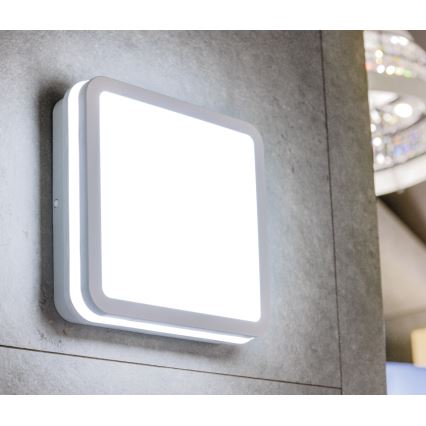 LED Vonkajšie stropné svietidlo so senzorom pohybu BENO LED/12/18W/230V 3000/3500/4000K IP65 biela hranatý