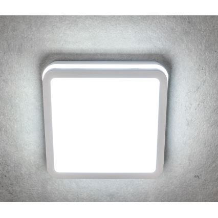 LED Vonkajšie stropné svietidlo so senzorom pohybu BENO LED/12/18W/230V 3000/3500/4000K IP65 biela hranatý