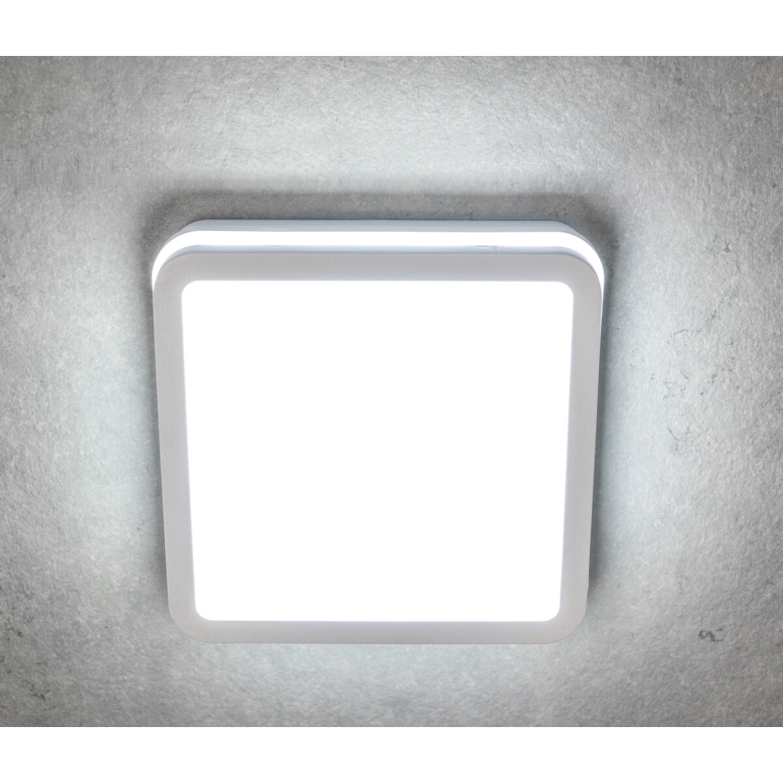 LED Vonkajšie stropné svietidlo BENO LED/24/30W/230V 3000/3500/4000K IP65 biela hranatý