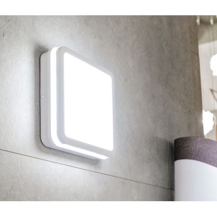 LED Vonkajšie stropné svietidlo BENO LED/24/30W/230V 3000/3500/4000K IP65 biela hranatý