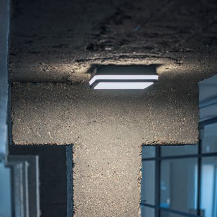 LED Vonkajšie stropné svietidlo so senzorom pohybu BENO LED/12/18W/230V 3000/3500/4000K IP65 antracit hranatý