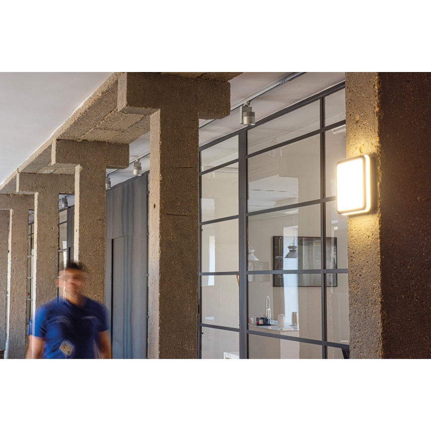 LED Vonkajšie stropné svietidlo so senzorom pohybu BENO LED/12/18W/230V 3000/3500/4000K IP65 antracit hranatý