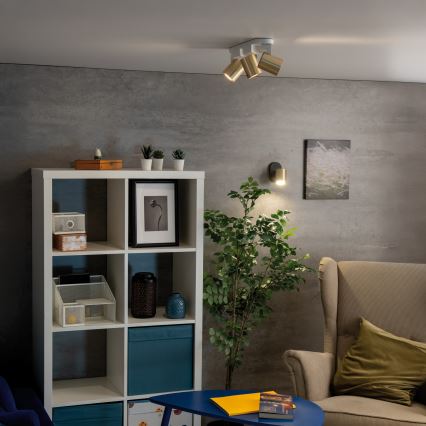 Nástenné bodové svietidlo LAURIN 1xGU10/10W/230V mosadz/čierna