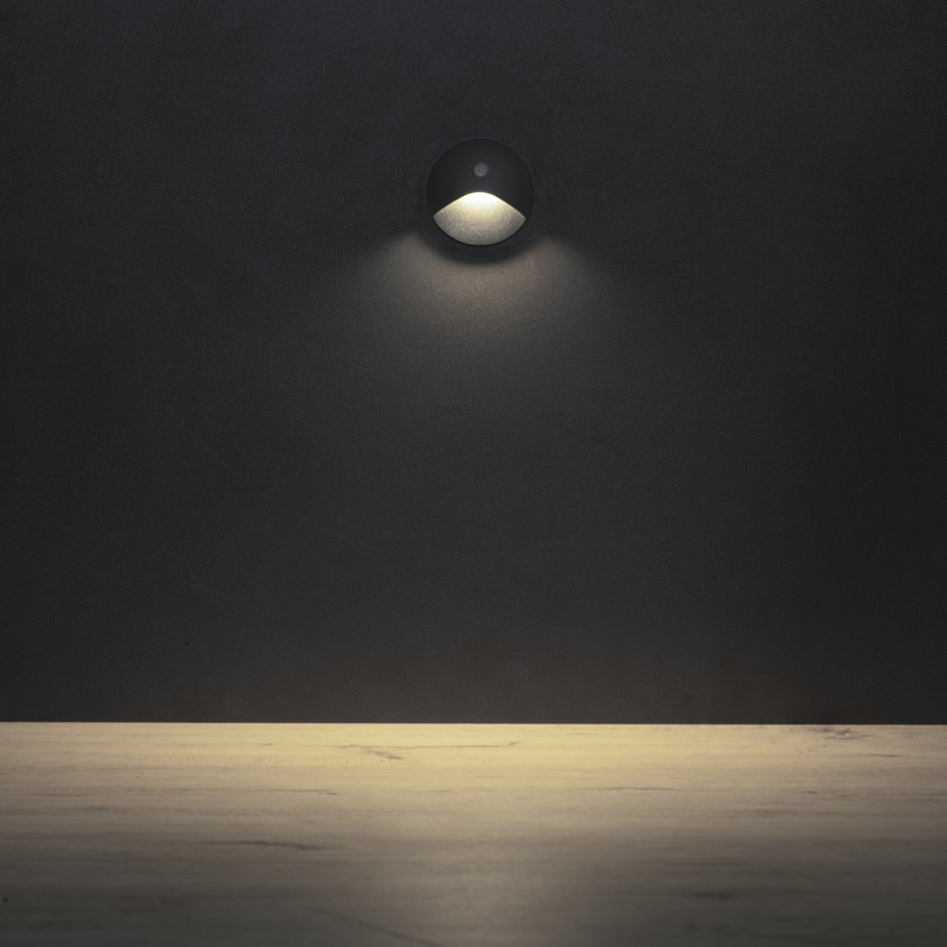LED schodiskové svietidlo so senzorom pohybu a súmraku EXIN LED/2,5W/230V 4000K IP65 antracitové, guľaté