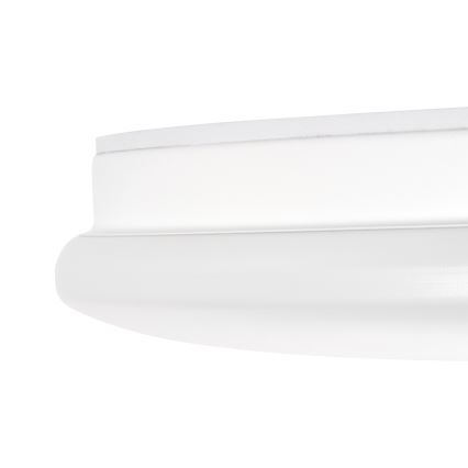 LED Kúpeľňové stropné svietidlo ENELO LED/10W/230V priemer 24 cm IP44