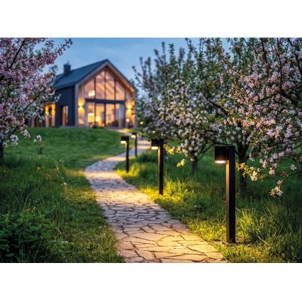 Vonkajšia lampa RADILO 1xGU10/11W/230V 50 cm IP44 čierna