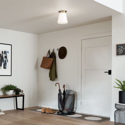 Kichler - Stropné svietidlo ALBERS 1xE27/40W/230V priemer 21,6 cm bronzové