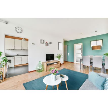 Koberec RABBIT-ROSA NEW 80x150 cm, 2000 g/m², tyrkysový