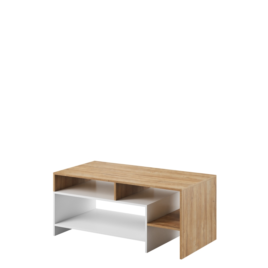 Konferenčný stolík ALVA 120x53 cm biela/dub grande