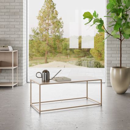 Konferenčný stolík SARON 100x50 cm, sivý
