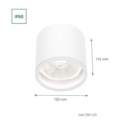 Kúpeľňové bodové svietidlo CHLOE AR111 1xGU10/12W/230V IP65 guľatý biela