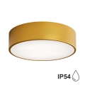 Kúpeľňové stropné svietidlo CLEO 2xE27/24W/230V pr. 30 cm zlatá IP54