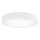Kúpeľňové stropné svietidlo CLEO 4xE27/24W/230V pr. 50 cm biela IP54