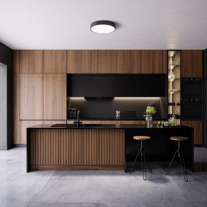 Kúpeľňové stropné svietidlo CLEO 4xE27/24W/230V pr. 50 cm čierna IP54