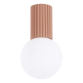 Kúpeľňové stropné svietidlo HALO 1xG9/8W/230V pr. 12 cm IP44 hnedá