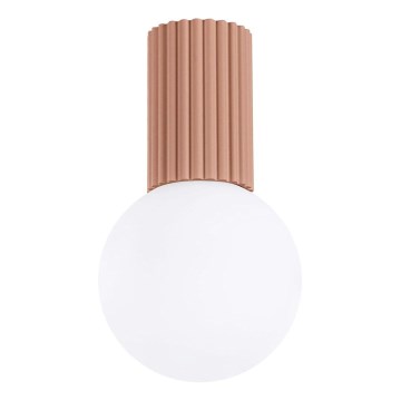 Kúpeľňové stropné svietidlo HALO 1xG9/8W/230V pr. 12 cm IP44 hnedá