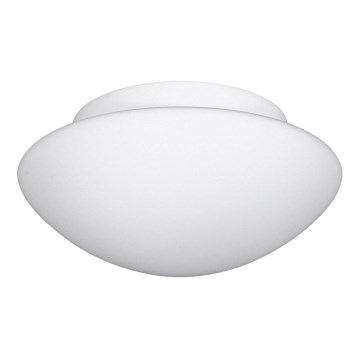 Kúpeľňové stropné svietidlo SANTE 1xE27/60W/230V IP44