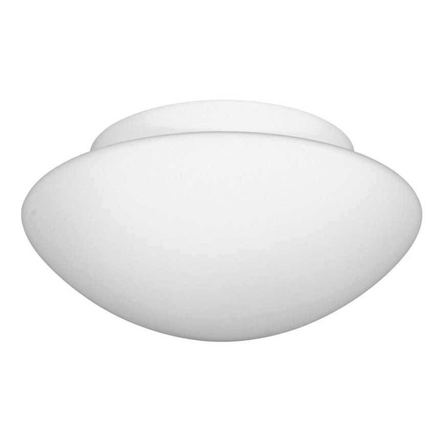 Kúpeľňové stropné svietidlo SANTE 1xE27/60W/230V IP44