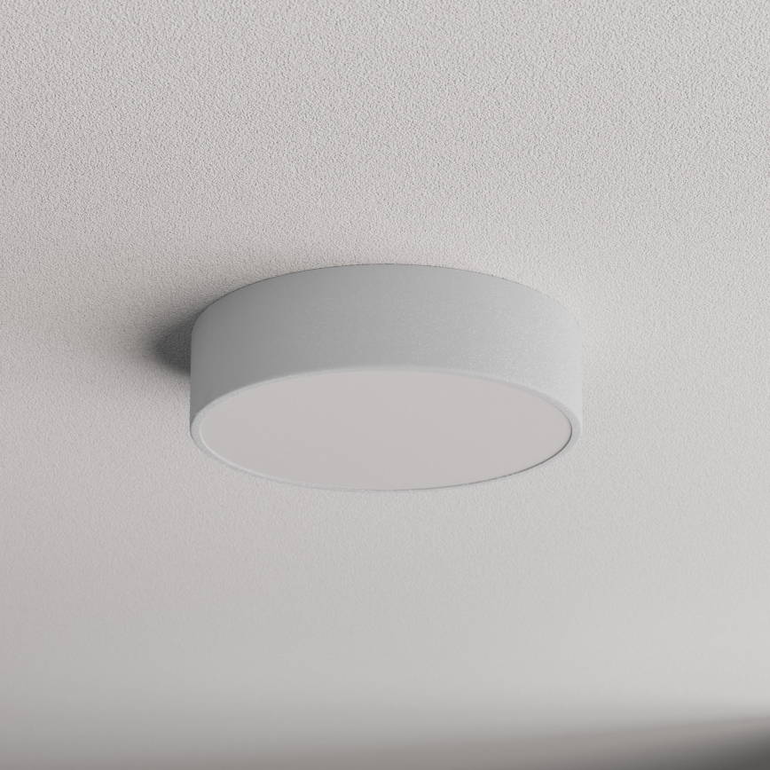 Kúpeľňové stropné svietidlo so senzorom CLEO 2xE27/24W/230V, priemer 30 cm, sivé, IP54