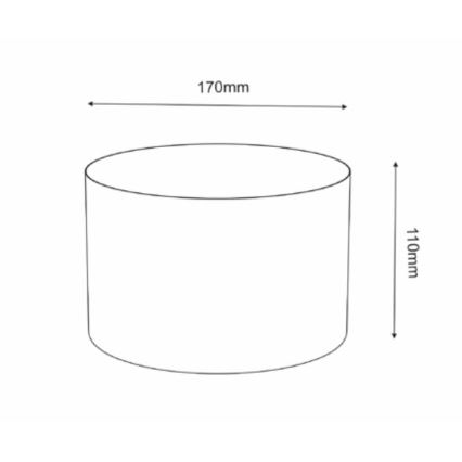 Valcový objekt s priemerom 170 mm a výškou 110 mm je znázornený na schéme s rozmermi.
