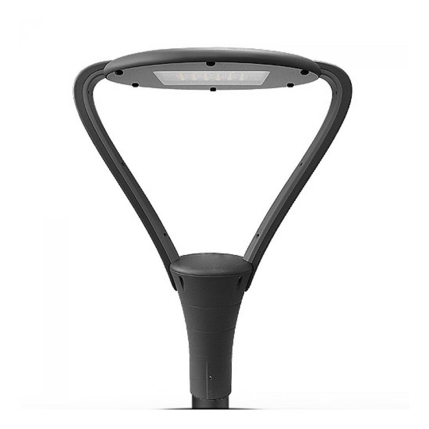 LED-Außenlampe TUCAN 1xLED/50W/230V IP65