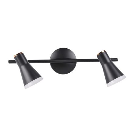 LED Bodové svietidlo BERG 2xLED/4,2W/230V čierna