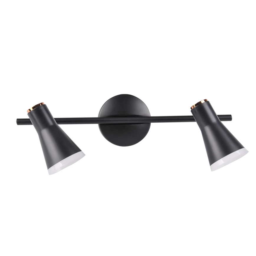 LED Bodové svietidlo BERG 2xLED/4,2W/230V čierna