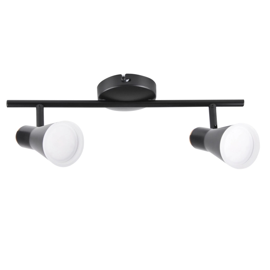 LED Bodové svietidlo BERG 2xLED/4,2W/230V čierna
