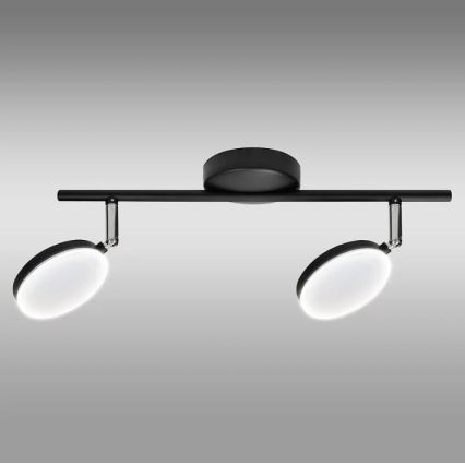 LED Bodové svietidlo CAPRI 2xLED/5W/230V