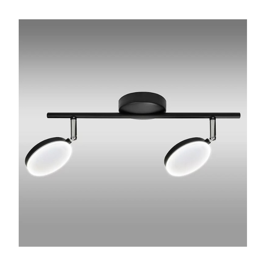 LED Bodové svietidlo CAPRI 2xLED/5W/230V