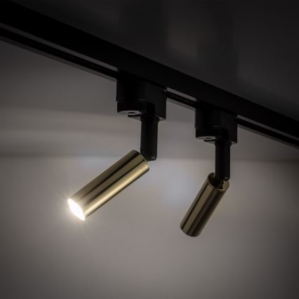 LED Bodové svietidlo do 1-fázového lištového systému LAGOS 1xG9/3W/230V zlatá/čierna