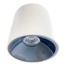 LED Bodové svietidlo LED/12W/230V 4000K pr. 8 cm biela