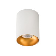LED Bodové svietidlo RITI 1xGU10/10W/230V biela/zlatá