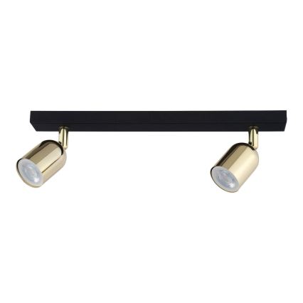 LED bodové svietidlo TOP 2xGU10/10W/230V čierna/zlatá