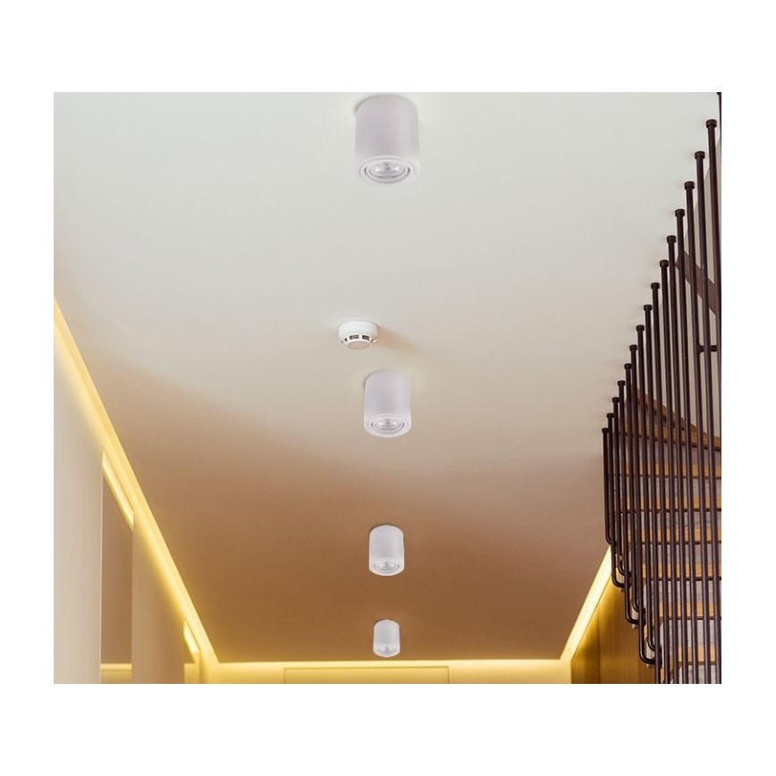 LED Bodové svietidlo TUBA 1xGU10/5W/230V 4000K biela