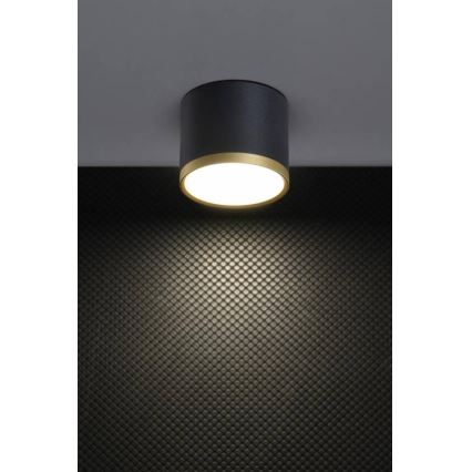 LED Bodové svietidlo TUBA LED/9W/230V čierna/zlatá