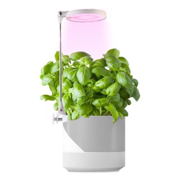 LED Interiérová lampa na pestovanie rastlín LED/10W/5V 3200K