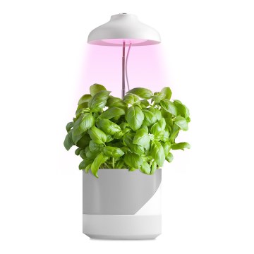 LED Interiérová lampa na pestovanie rastlín LED/5W/5V 3200K