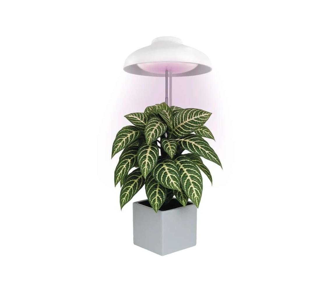 LED interiérové svietidlo pre pestovanie rastlín GROW LED/5W/5V Z7901