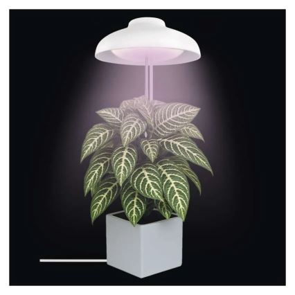 LED interiérové svietidlo pre pestovanie rastlín GROW LED/5W/5V