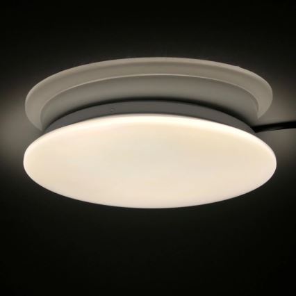 LED Kúpeľňové stropné svietidlo ADAR LED/12W/230V IP44 4000K
