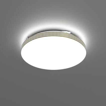 LED Kúpeľňové stropné svietidlo BEVER LED/10W/230V 4000K pr. 26 cm IP44