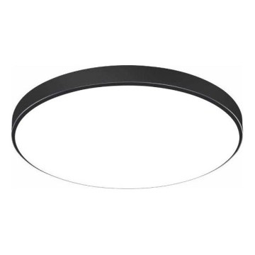 LED Kúpeľňové stropné svietidlo CARTER LED/12W/230V 6000K IP44 pr. 22 cm čierna
